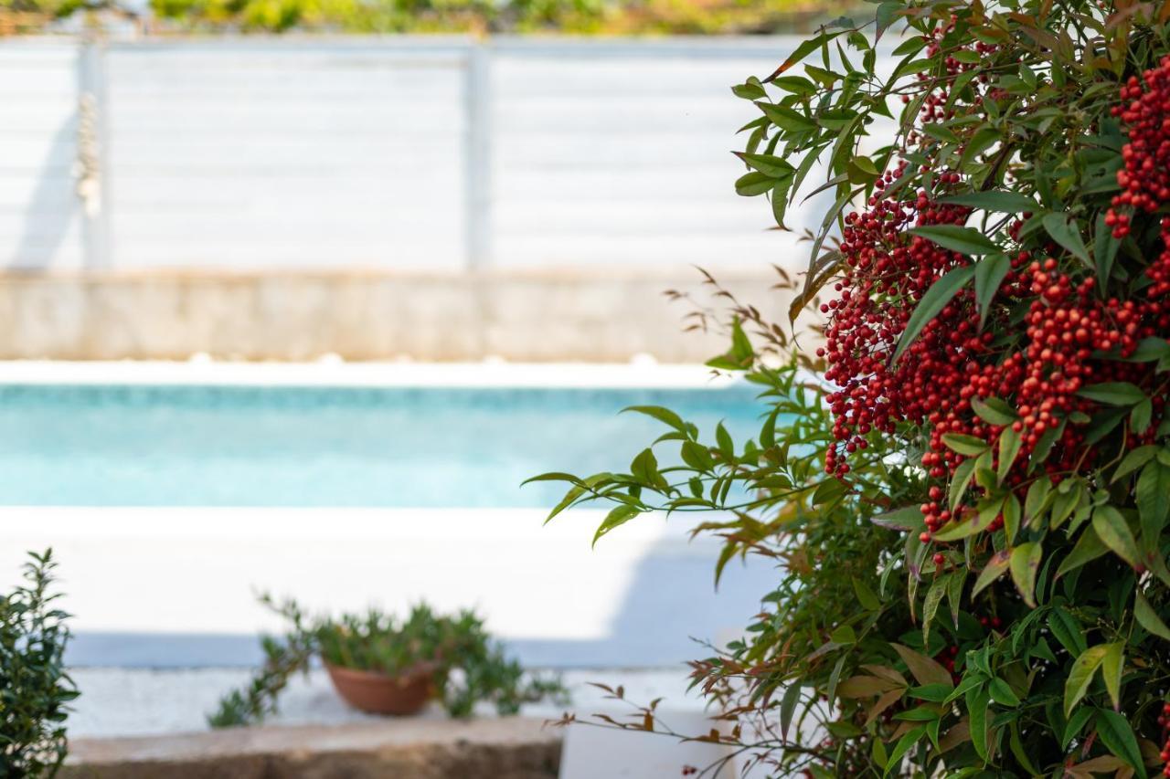 Apartment Adriana On Peaceful Location With Pool Pula Bagian luar foto